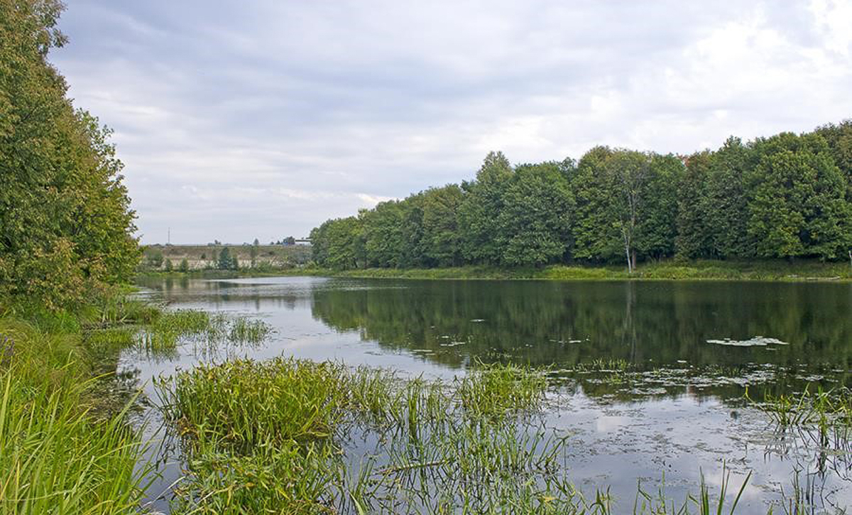 Новый вариант М12 сначала назвали более приемлемым для жителей. Но на самом деле это не так. Около 20 000 людей пострадают из-за автобана