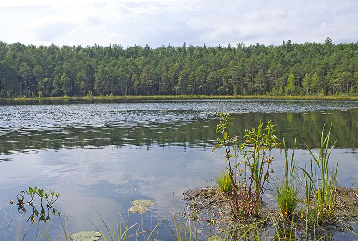 Новый вариант М12 сначала назвали более приемлемым для жителей. Но на самом деле это не так. Около 20 000 людей пострадают из-за автобана
