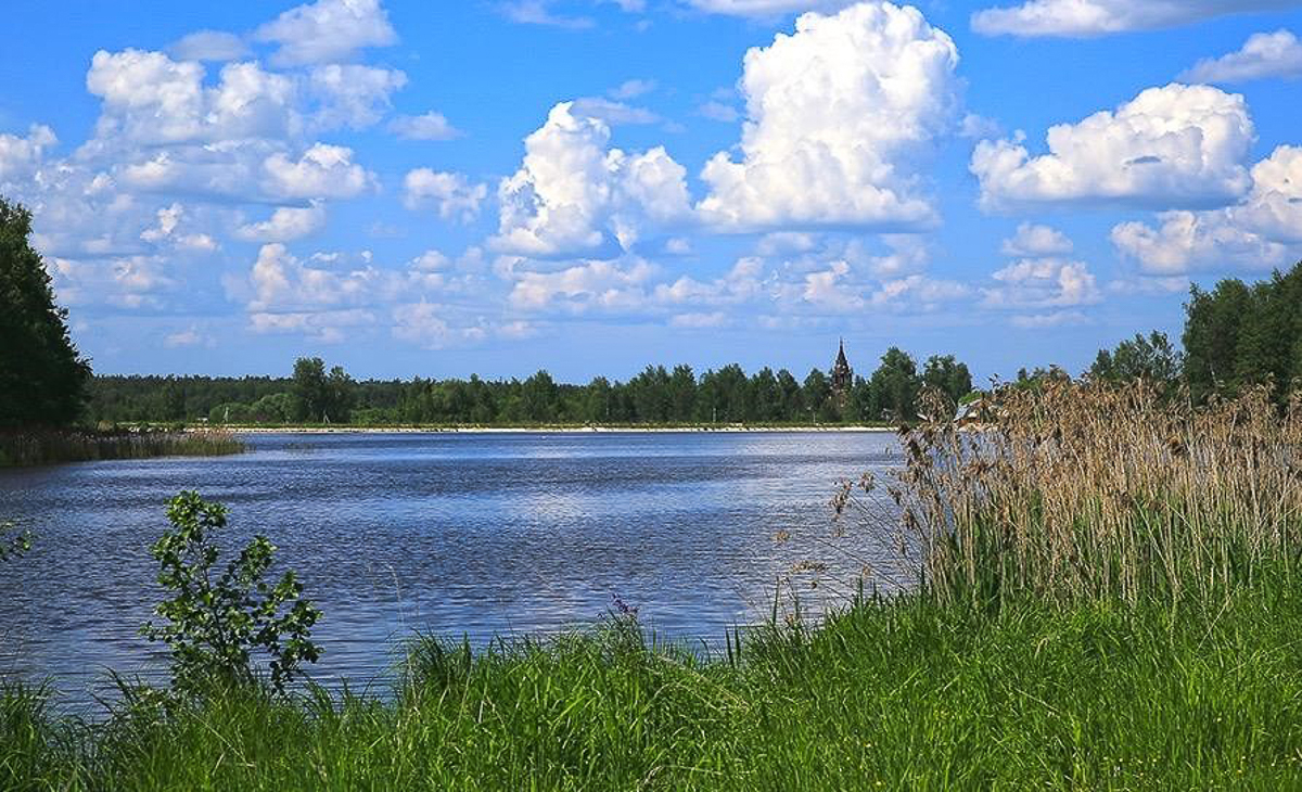 Новый вариант М12 сначала назвали более приемлемым для жителей. Но на самом деле это не так. Около 20 000 людей пострадают из-за автобана