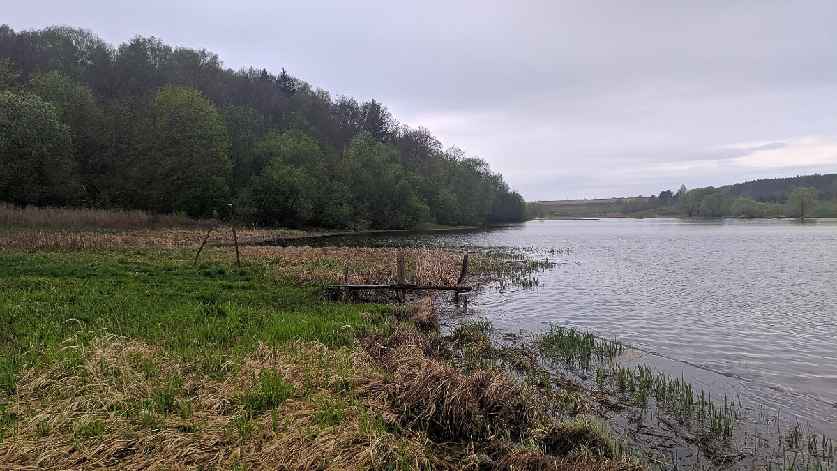 Владимирские любители драйвового купания открыли сезон на местных водоемах
