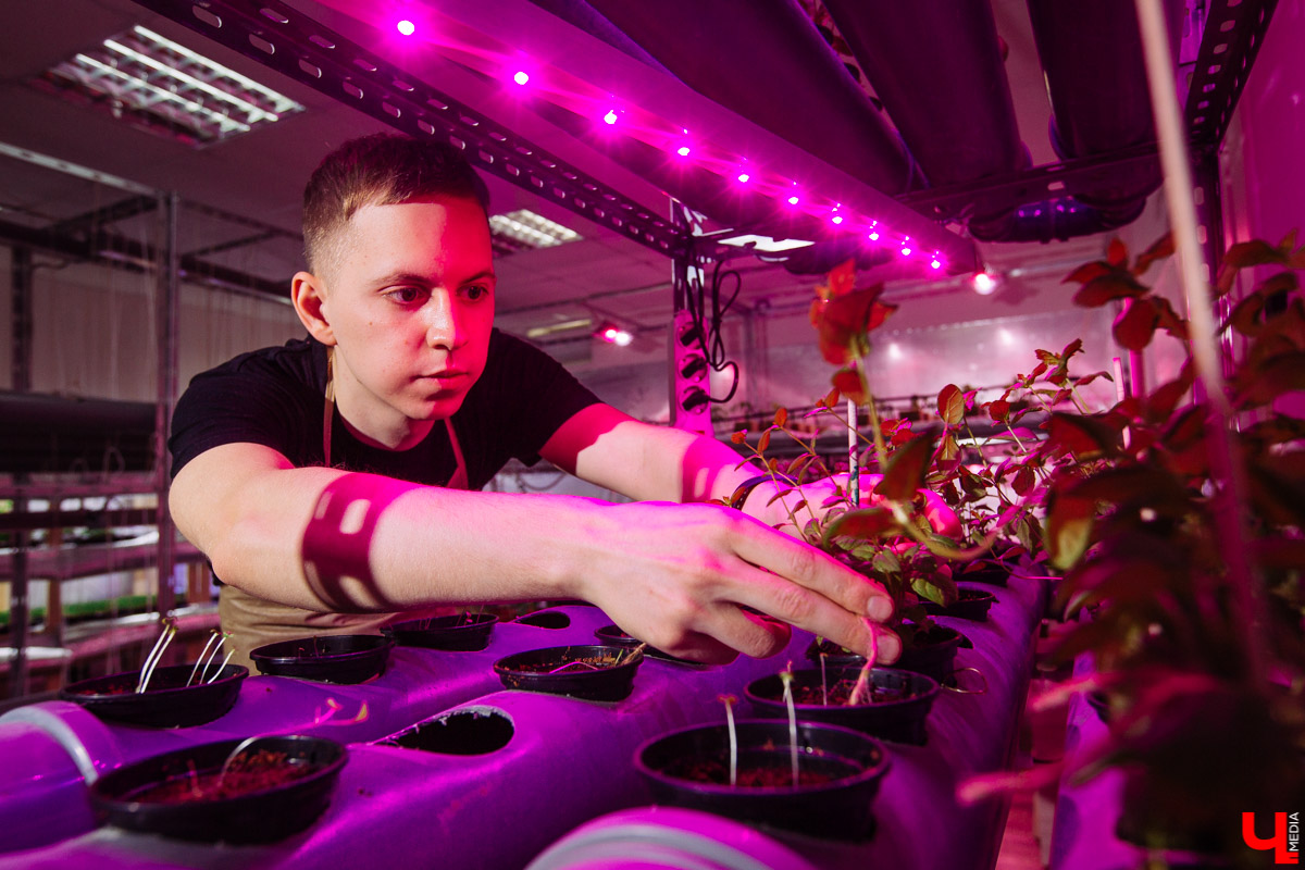 Владимирские студенты, открывшие на грант «Территории смыслов» сити-ферму почти в центре города, о популярных экопродуктах и пользе домашнего хозяйства для здоровья