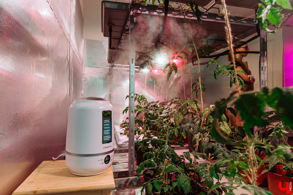 Владимирские студенты, открывшие на грант «Территории смыслов» сити-ферму почти в центре города, о популярных экопродуктах и пользе домашнего хозяйства для здоровья