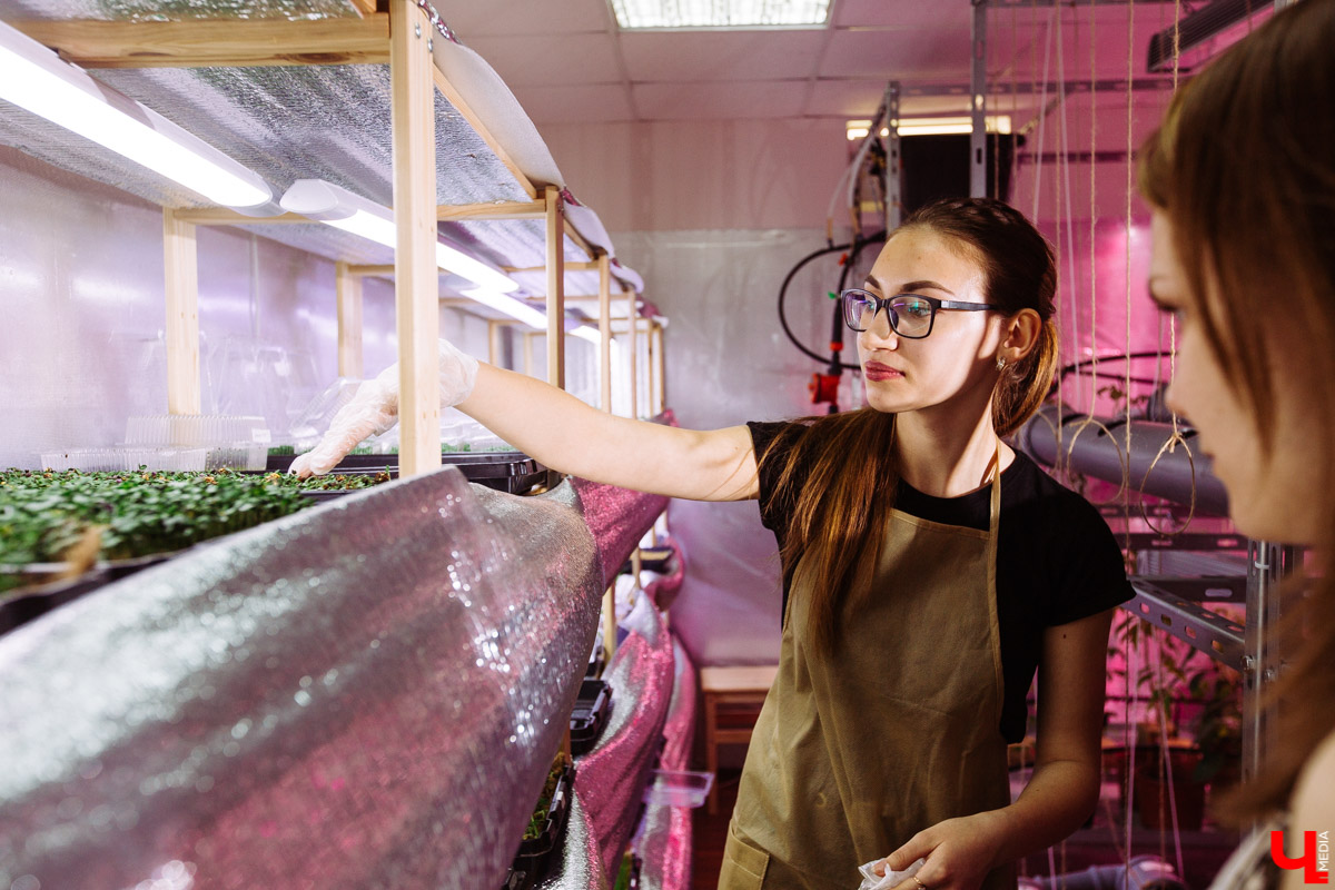 Владимирские студенты, открывшие на грант «Территории смыслов» сити-ферму почти в центре города, о популярных экопродуктах и пользе домашнего хозяйства для здоровья