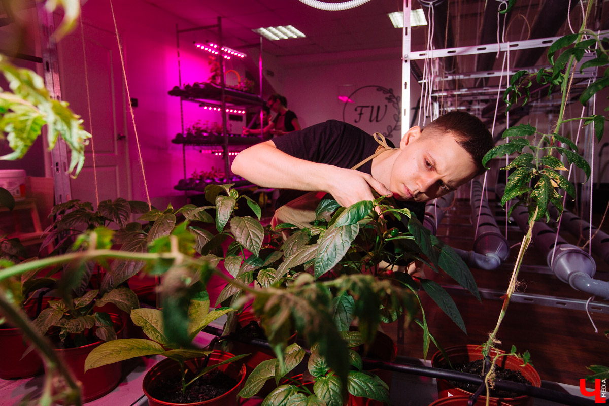 Владимирские студенты, открывшие на грант «Территории смыслов» сити-ферму почти в центре города, о популярных экопродуктах и пользе домашнего хозяйства для здоровья