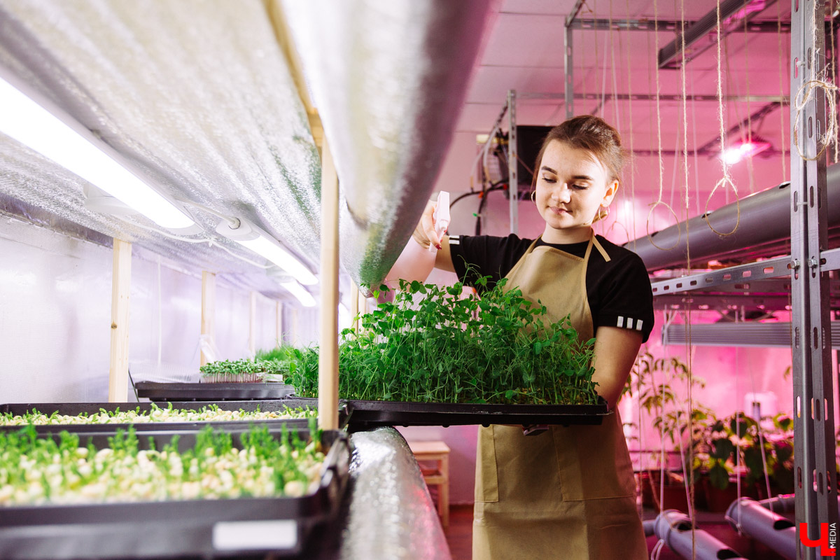 Владимирские студенты, открывшие на грант «Территории смыслов» сити-ферму почти в центре города, о популярных экопродуктах и пользе домашнего хозяйства для здоровья