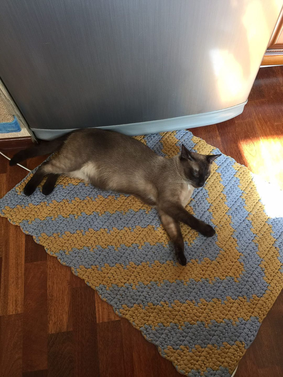 Хенд-мейд может быть не только увлечением, но и способом заработка. Мы поговорили с тремя владимирскими вязальщицами о бизнесе, хобби и трудностях поиска целевой аудитории