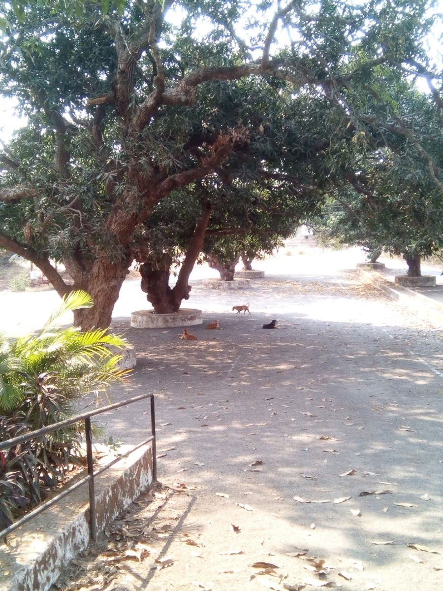 Три истории от троих владимирцев, самоизолированных за границей. Бизнесмен из Тайланда, художница из Багдада и недавно вернувшаяся домой с зимовки на Гоа супружеская пара рассказывают, был ли отдых