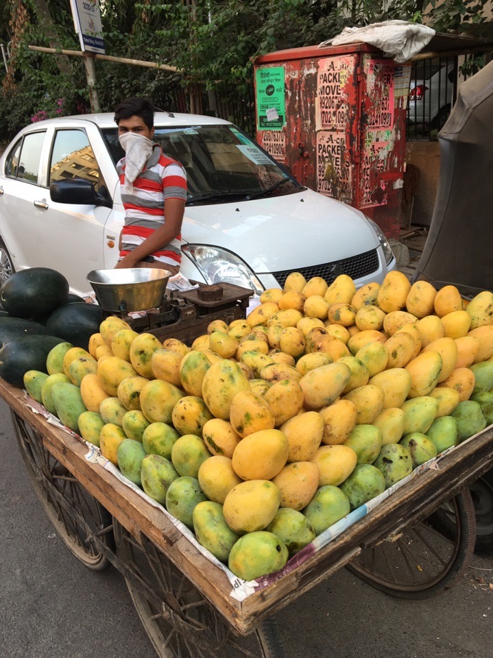 Три истории от троих владимирцев, самоизолированных за границей. Бизнесмен из Тайланда, художница из Багдада и недавно вернувшаяся домой с зимовки на Гоа супружеская пара рассказывают, был ли отдых
