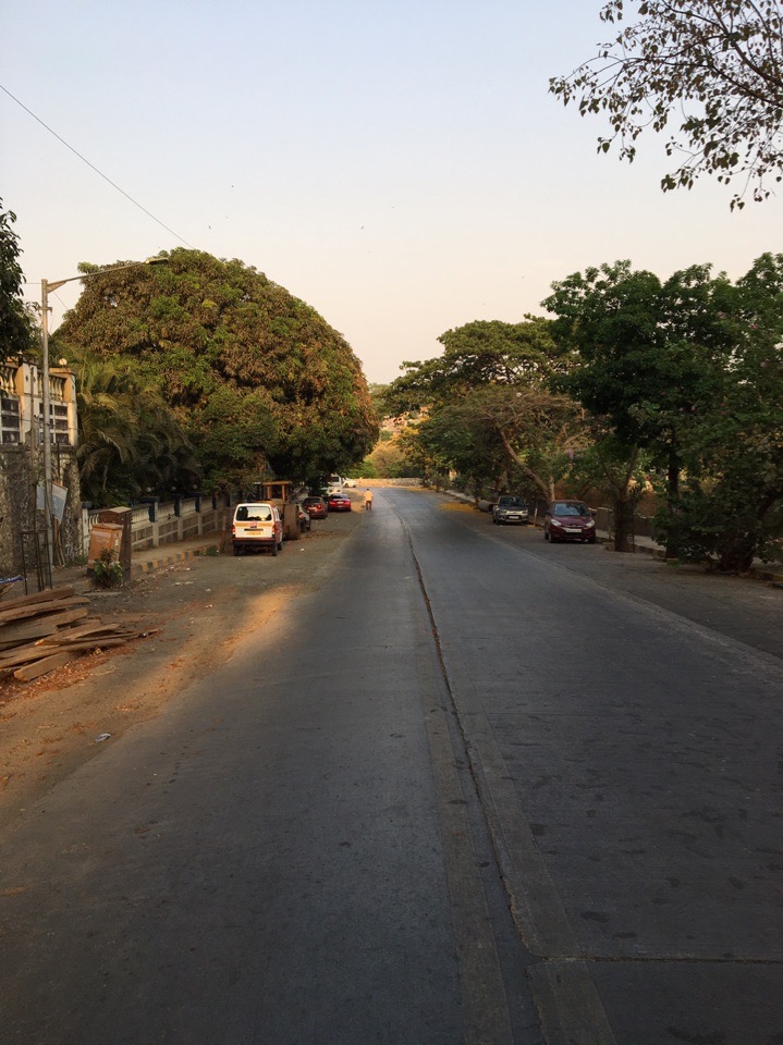 Три истории от троих владимирцев, самоизолированных за границей. Бизнесмен из Тайланда, художница из Багдада и недавно вернувшаяся домой с зимовки на Гоа супружеская пара рассказывают, был ли отдых