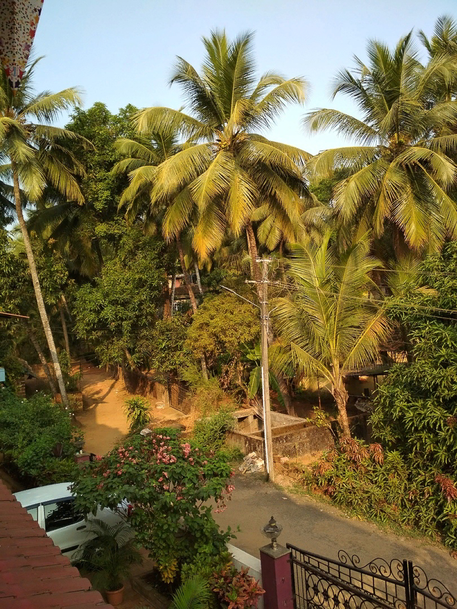 Три истории от троих владимирцев, самоизолированных за границей. Бизнесмен из Тайланда, художница из Багдада и недавно вернувшаяся домой с зимовки на Гоа супружеская пара рассказывают, был ли отдых