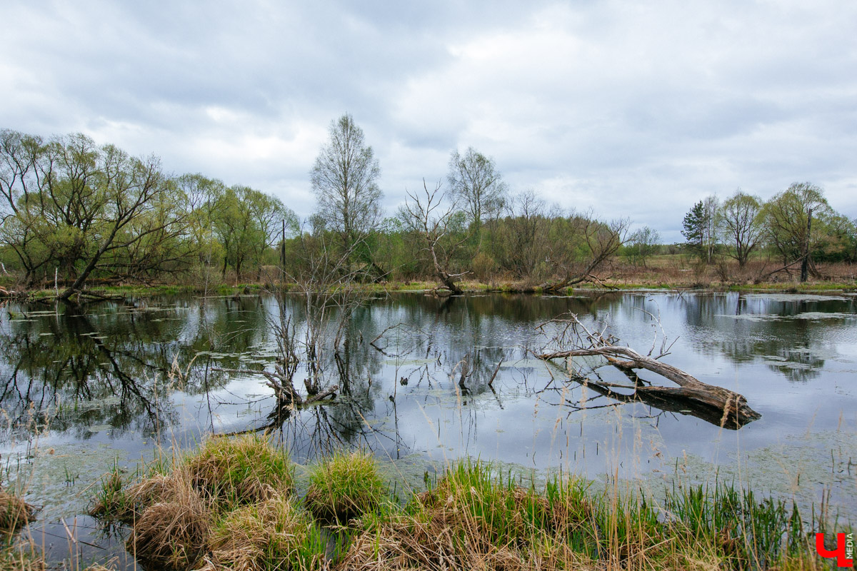 В селе Милиново с 1990-х никто не живет. Здесь сохранились развалины домов и руины старинного храма