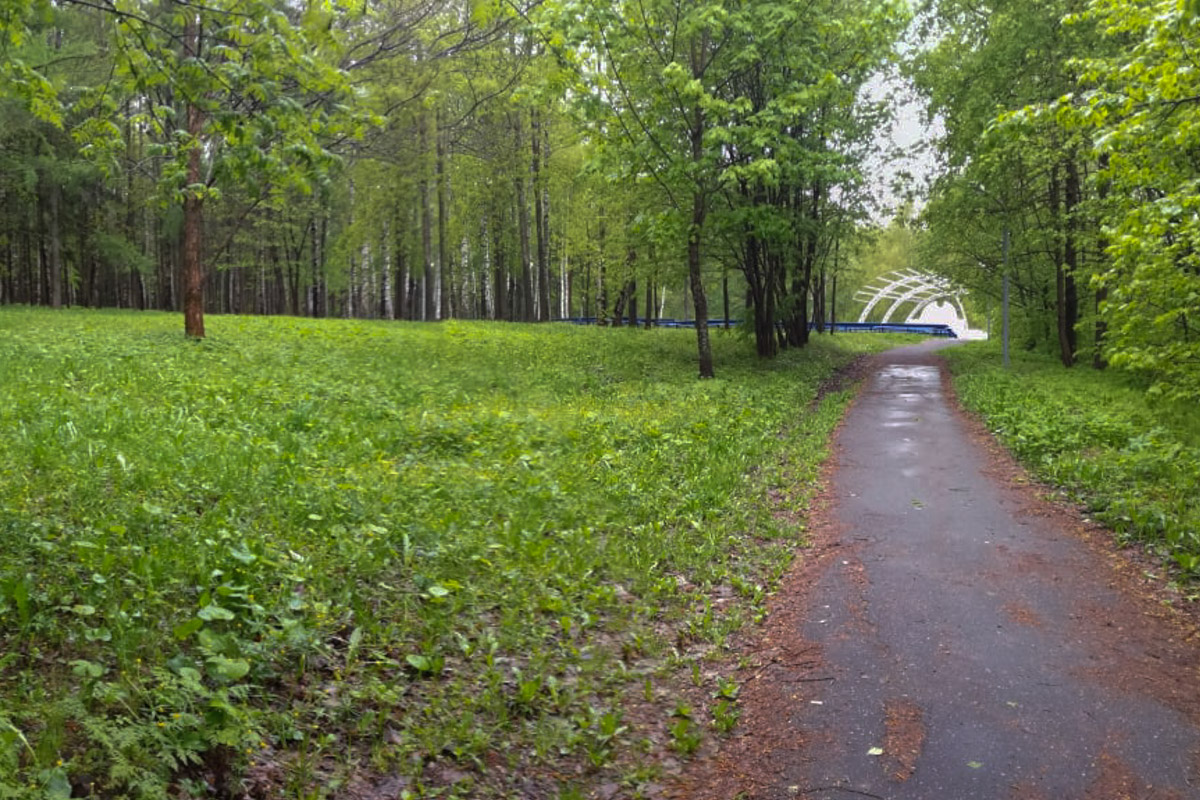 Во Владимирской области в 2020 году благоустроят 150 объектов. Хорошую новость портят сообщения о скандале в Гороховце. Новая набережная разваливается