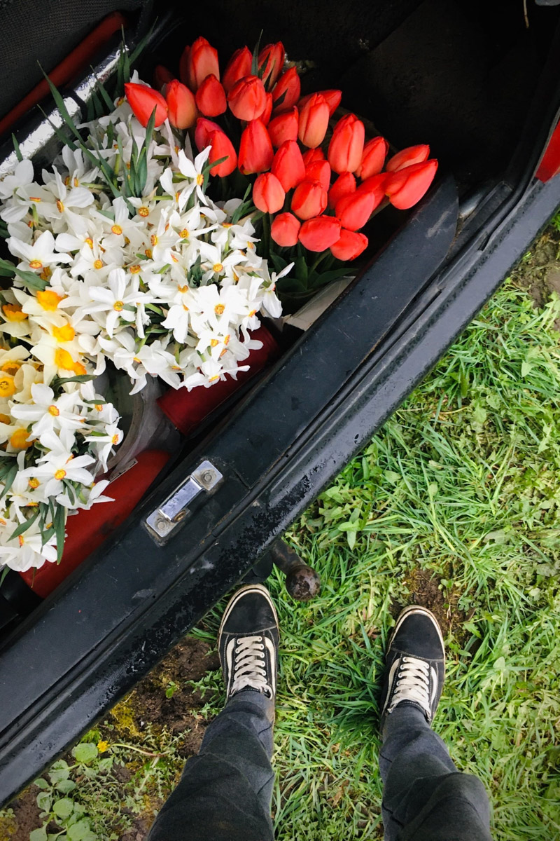 Владимирские фотографы и модели не боятся кризиса. В крайнем случае, они готовы сменить фэшн на огород и спицы - домашние хобби, которым предаются во время самоизоляции