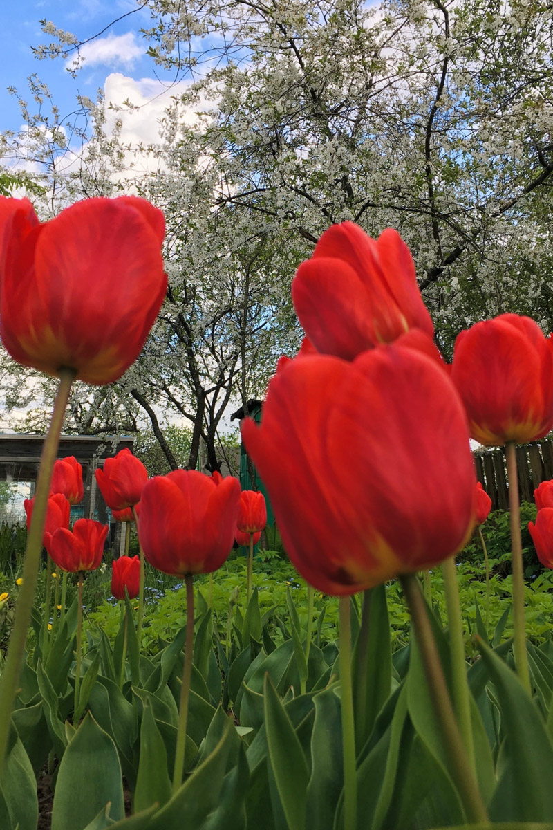Владимирские фотографы и модели не боятся кризиса. В крайнем случае, они готовы сменить фэшн на огород и спицы - домашние хобби, которым предаются во время самоизоляции