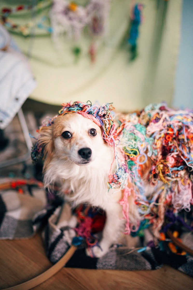 Владимирские фотографы и модели не боятся кризиса. В крайнем случае, они готовы сменить фэшн на огород и спицы - домашние хобби, которым предаются во время самоизоляции
