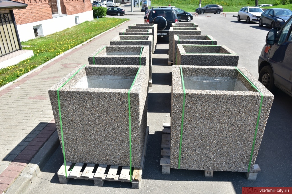 Улицы Владимира продолжают преображаться. На Театральной площади совсем скоро появится зеленая аллея из хвойных вечнозеленых растений - туи и можжевельника