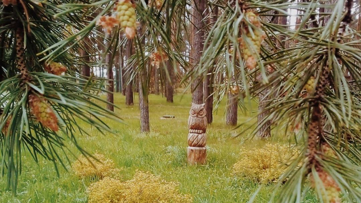 Постепенно гостиничную сферу выводят с карантина. Командировочным уже разрешено заселяться в отели. Скоро их откроют и для остальных гостей