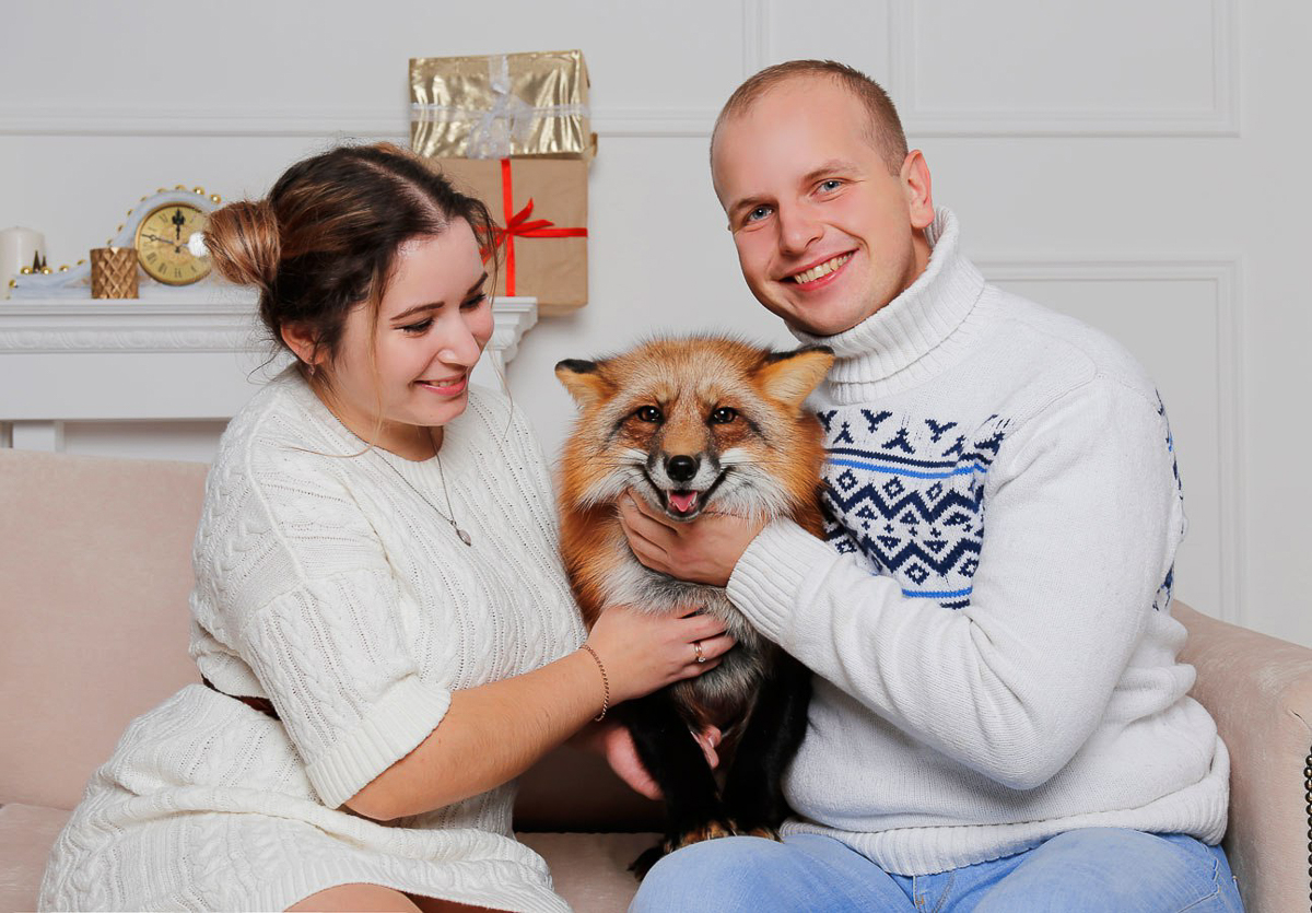 Благотворительный фотопроект «Сфотографируйся и ты», помогающий бездомным животным, совсем скоро отметит пятилетний юбилей. Показываем самые очаровательные снимки за всю его мини-историю