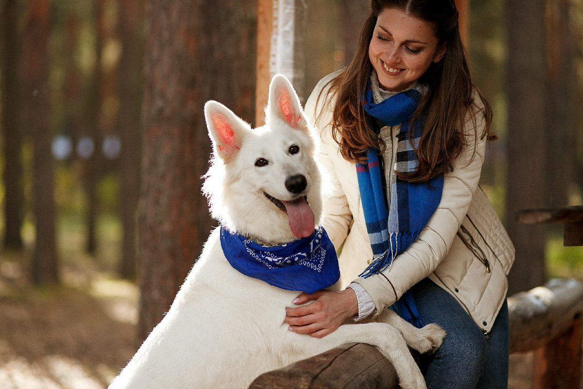 Благотворительный фотопроект «Сфотографируйся и ты», помогающий бездомным животным, совсем скоро отметит пятилетний юбилей. Показываем самые очаровательные снимки за всю его мини-историю