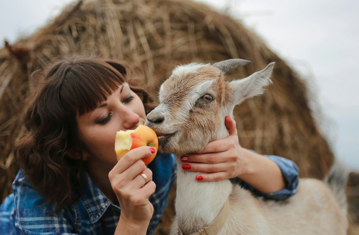Благотворительный фотопроект «Сфотографируйся и ты», помогающий бездомным животным, совсем скоро отметит пятилетний юбилей. Показываем самые очаровательные снимки за всю его мини-историю