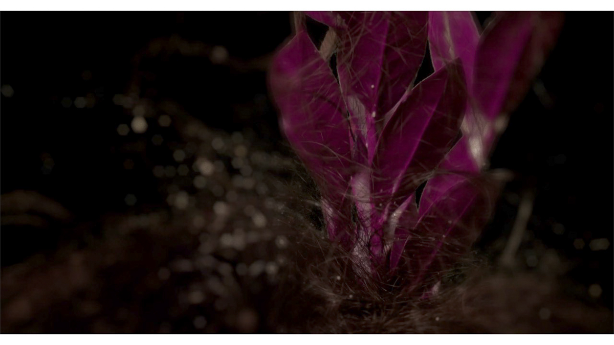 На днях рок-группа Andrew Bear опубликовала клип на песню Heaven. Один из его создателей - владимирец Олег Леднев