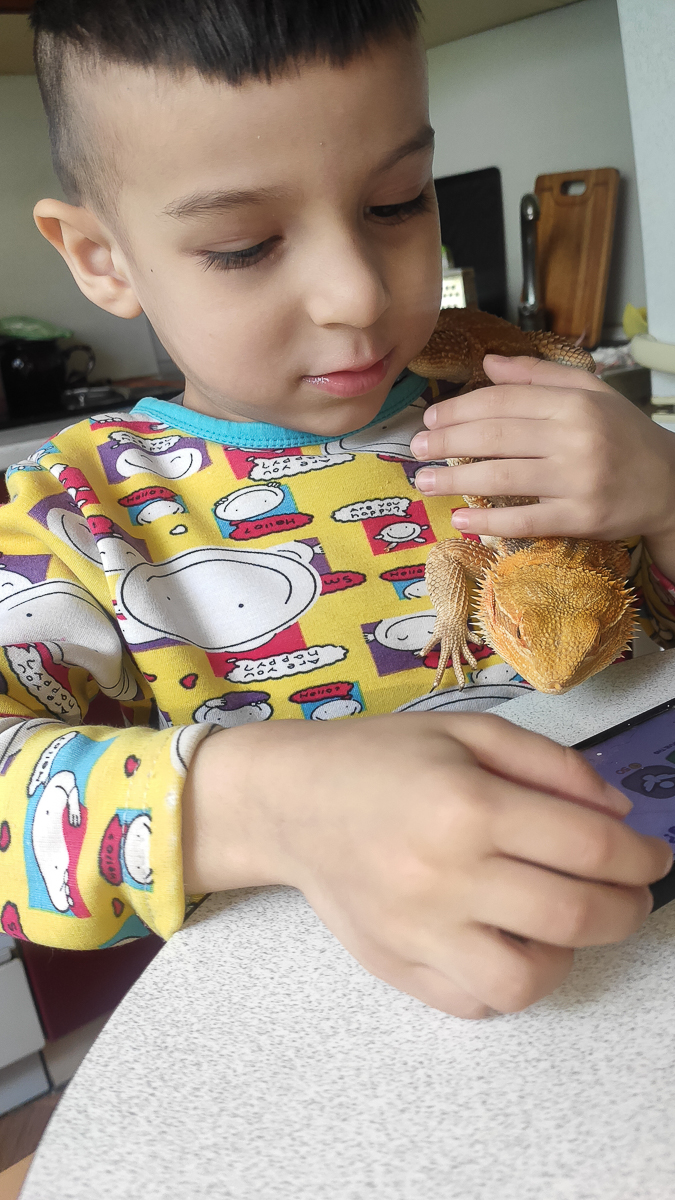 Тигровый питон, капский варан, амурский полоз. Кто еще обитает в домашнем питомнике рептилий владимирской семьи?