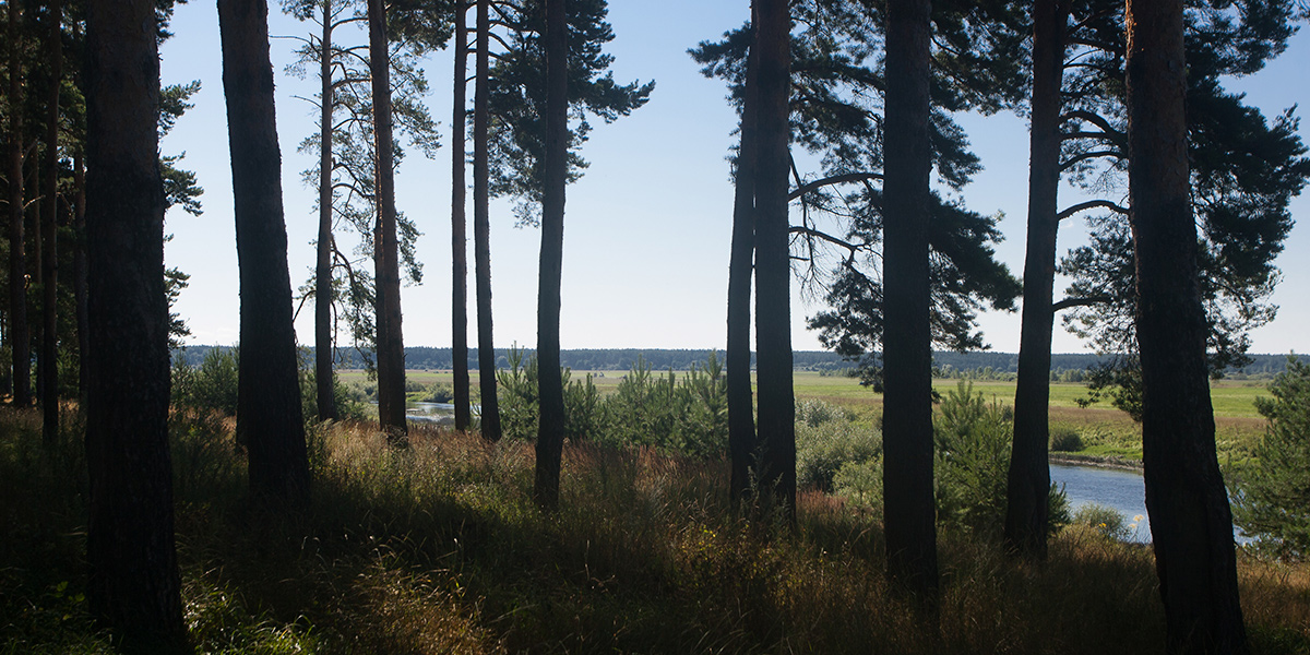 Подготовка к пляжному сезону идет полным ходом: во Владимирской области планируют открыть 55 мест для купания, из них 4 - в региональном центре. Во время отдыха придется соблюдать меры безопасности. Рассказываем, какие именно