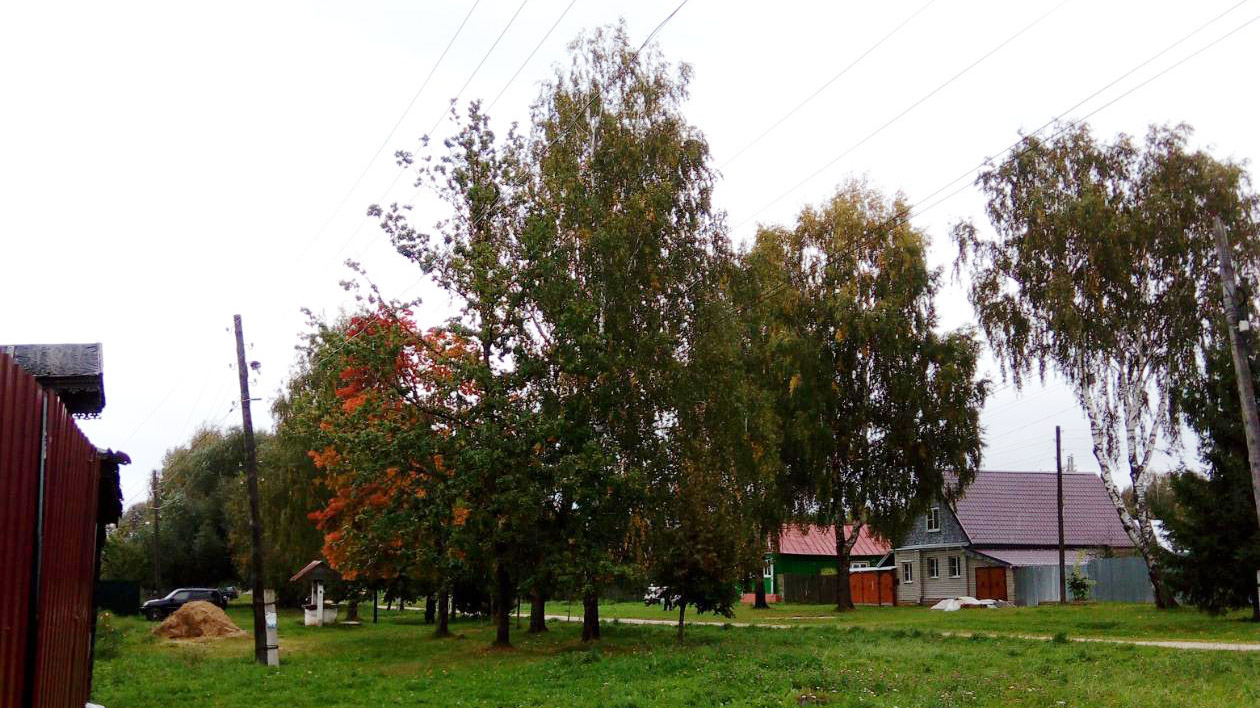 Конкурс «Самая красивая деревня Владимирской области-2020» начался. Победителям вручат 150 000 рублей