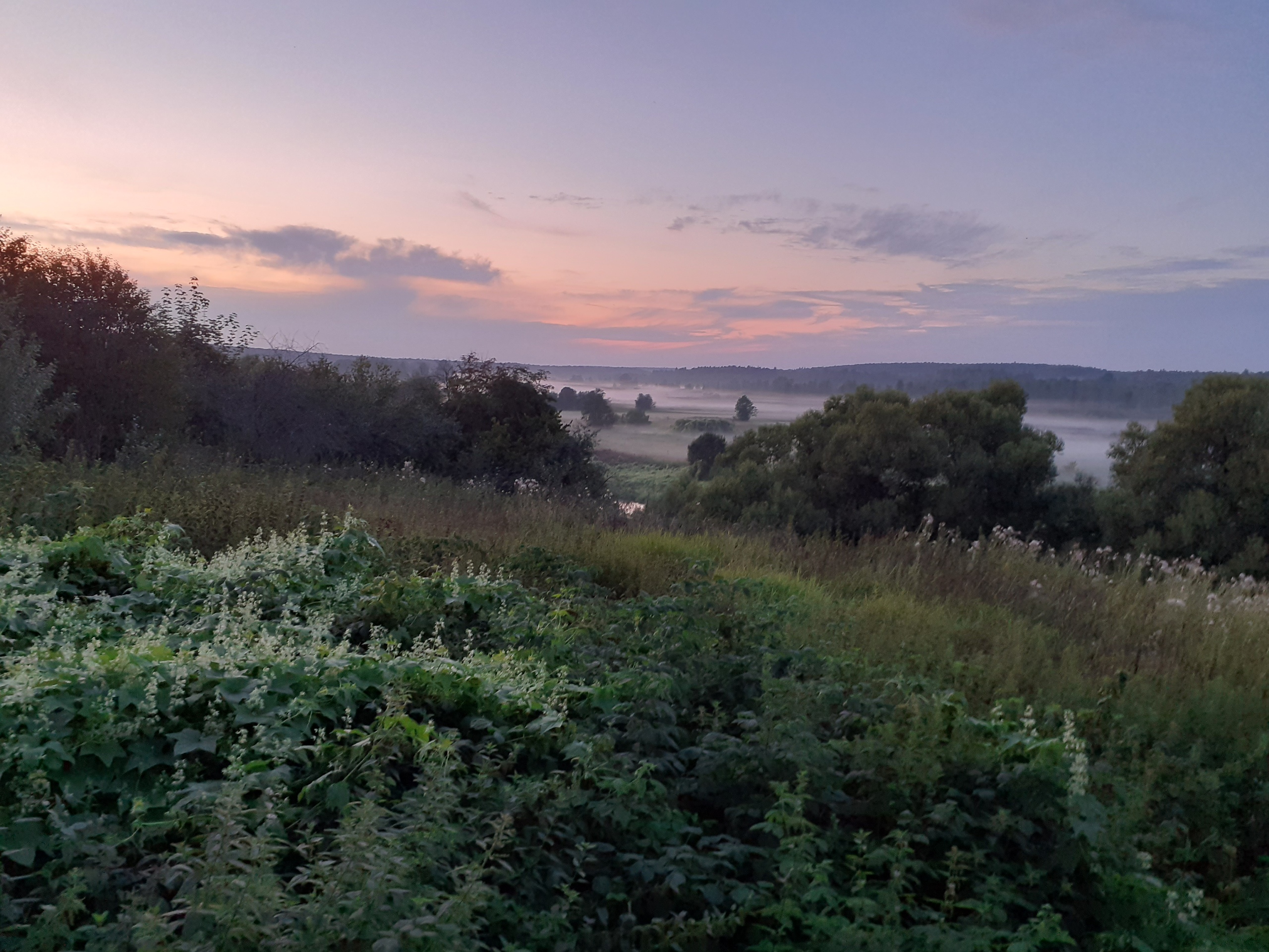 Конкурс «Самая красивая деревня Владимирской области-2020» начался. Победителям вручат 150 000 рублей