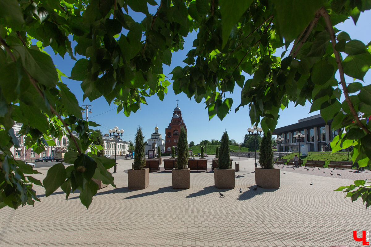Соловьиный пруд, Нижняя Дуброва, Театральная площадь — именно там за последние полмесяца появились зеленые аллеи. Владимирский ландшафтный дизайнер поделилась своим профессиональным мнением насчет этого