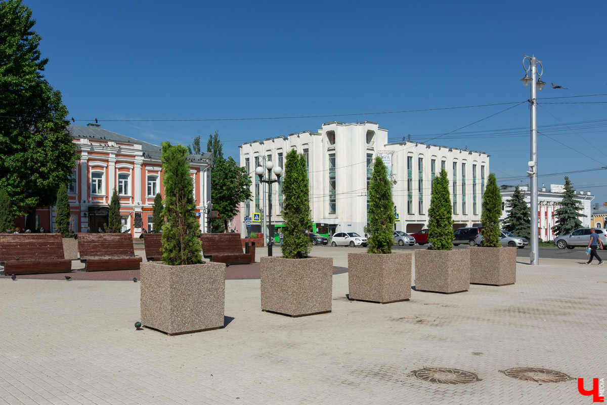 Соловьиный пруд, Нижняя Дуброва, Театральная площадь — именно там за последние полмесяца появились зеленые аллеи. Владимирский ландшафтный дизайнер поделилась своим профессиональным мнением насчет этого