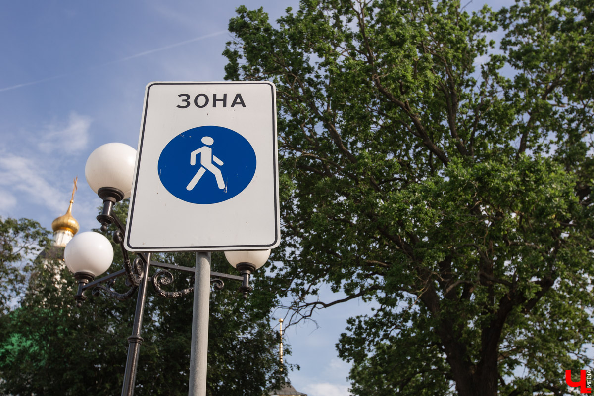 Во Владимире есть не только памятники архитектуры. Если внимательнее присмотритесь, найдете интересные природные объекты