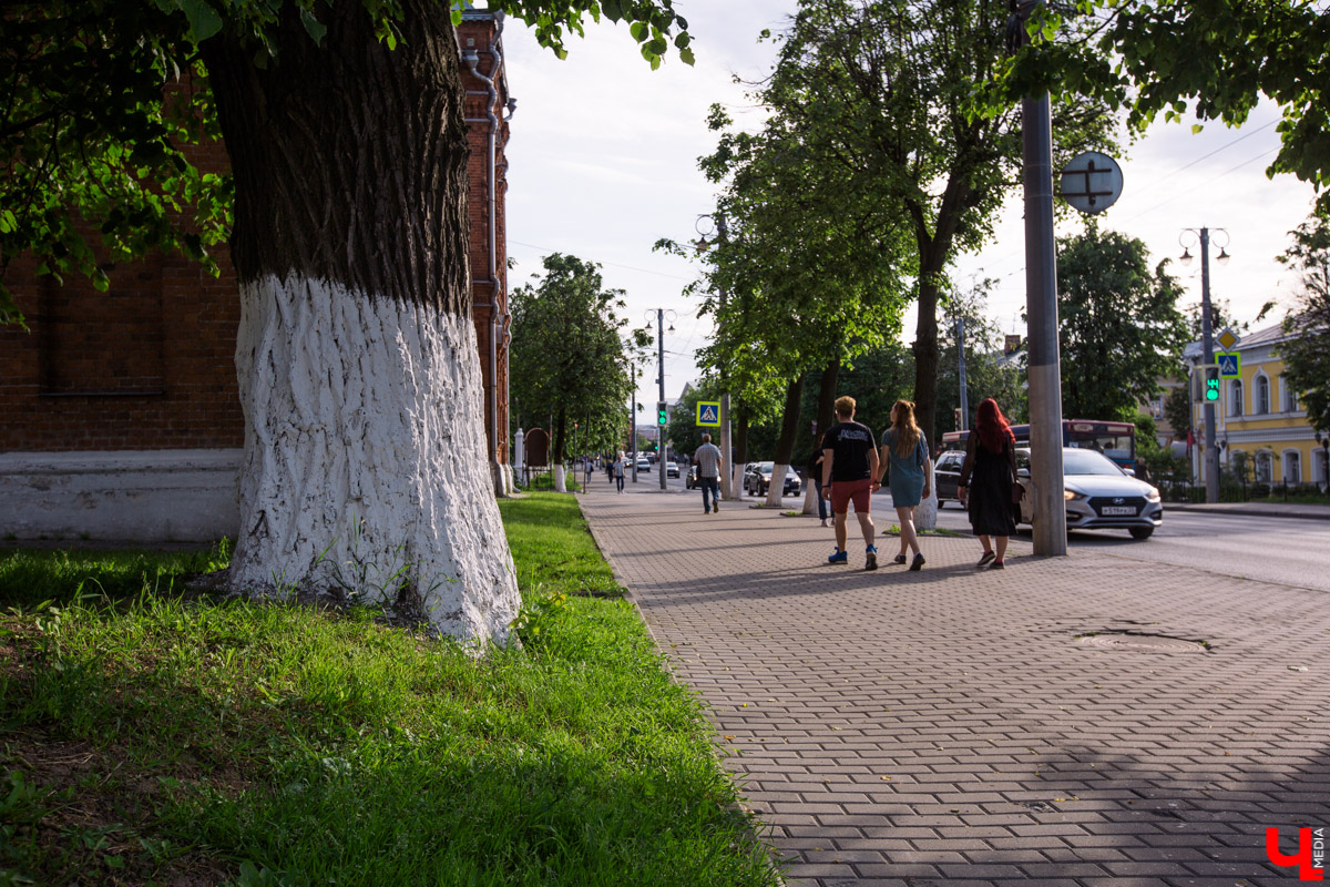 Во Владимире есть не только памятники архитектуры. Если внимательнее присмотритесь, найдете интересные природные объекты