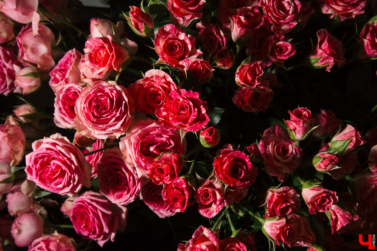 Расспрашиваем основательницу сети цветочных магазинов Юлию Краснову о флористических тенденциях и не только