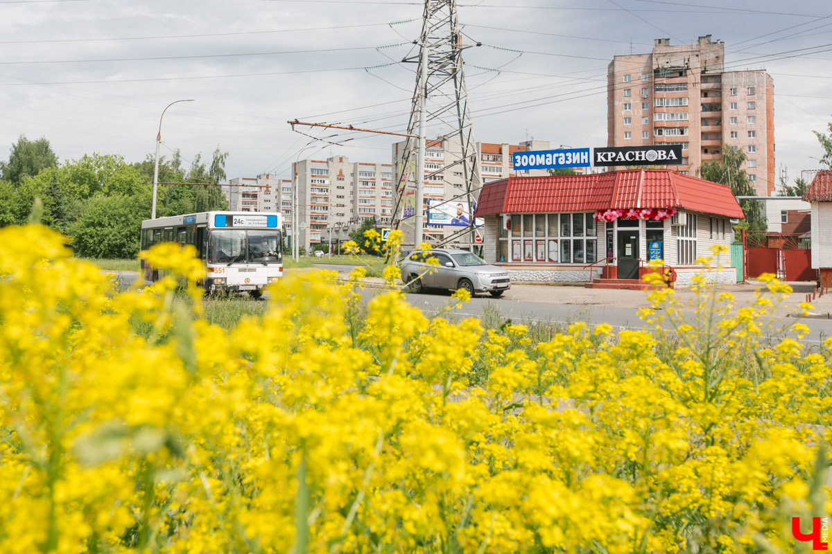 Расспрашиваем основательницу сети цветочных магазинов Юлию Краснову о флористических тенденциях и не только