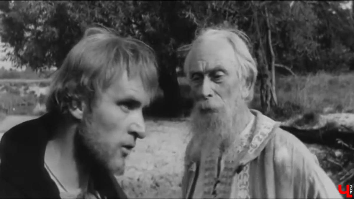 Село Выпово Суздальского района может похвастаться уникальной кедровой рощей. Это место идеально для прогулки и пикника