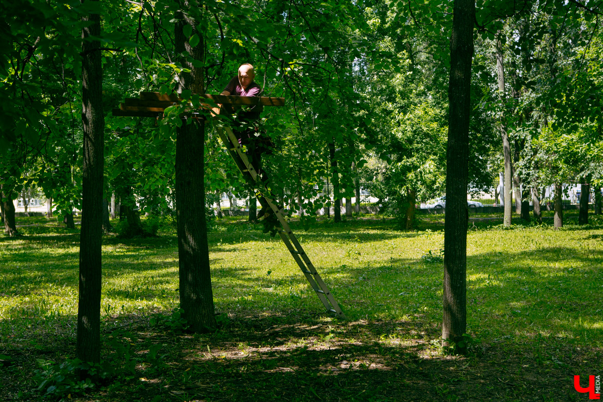 Приятная новость для любителей активного отдыха: в Центральном парке может появиться веревочный городок
