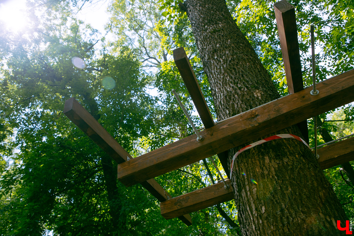 Приятная новость для любителей активного отдыха: в Центральном парке может появиться веревочный городок