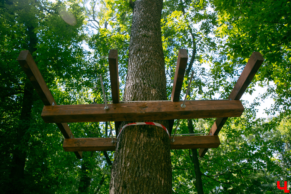 Приятная новость для любителей активного отдыха: в Центральном парке может появиться веревочный городок