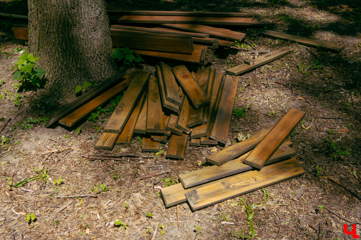 Приятная новость для любителей активного отдыха: в Центральном парке может появиться веревочный городок