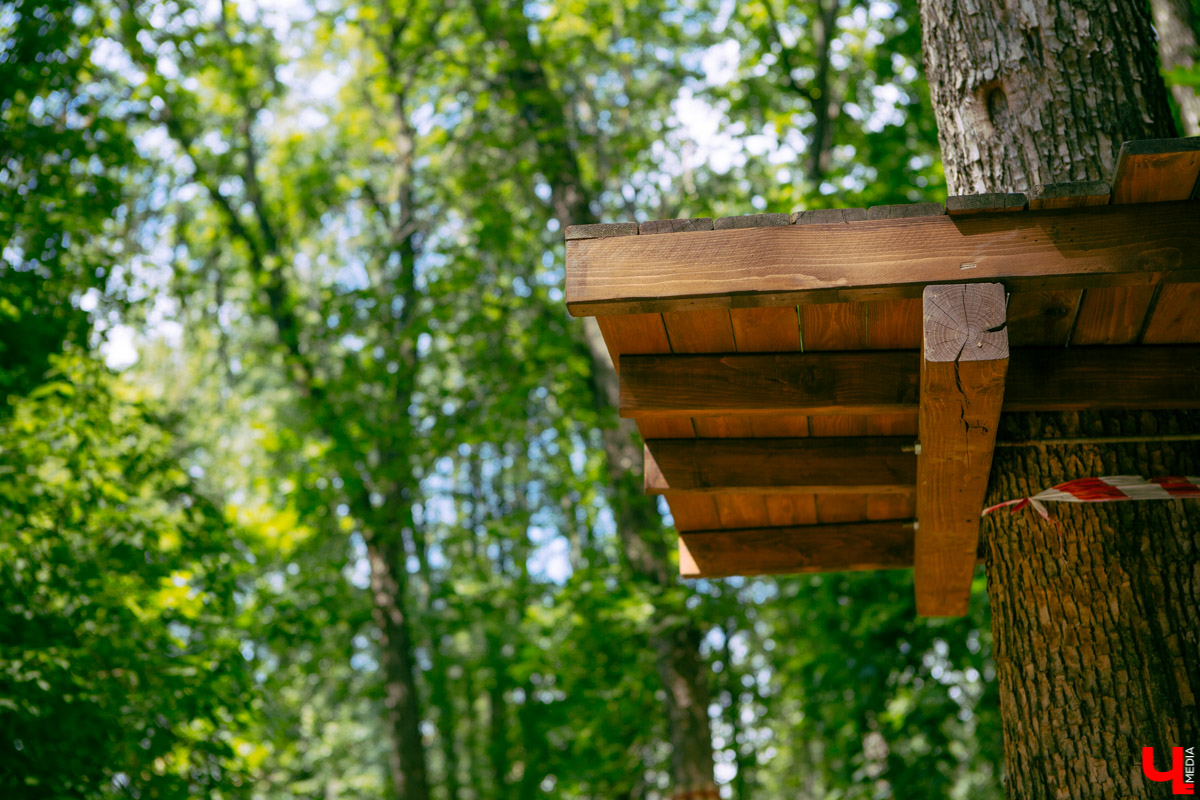 Приятная новость для любителей активного отдыха: в Центральном парке может появиться веревочный городок