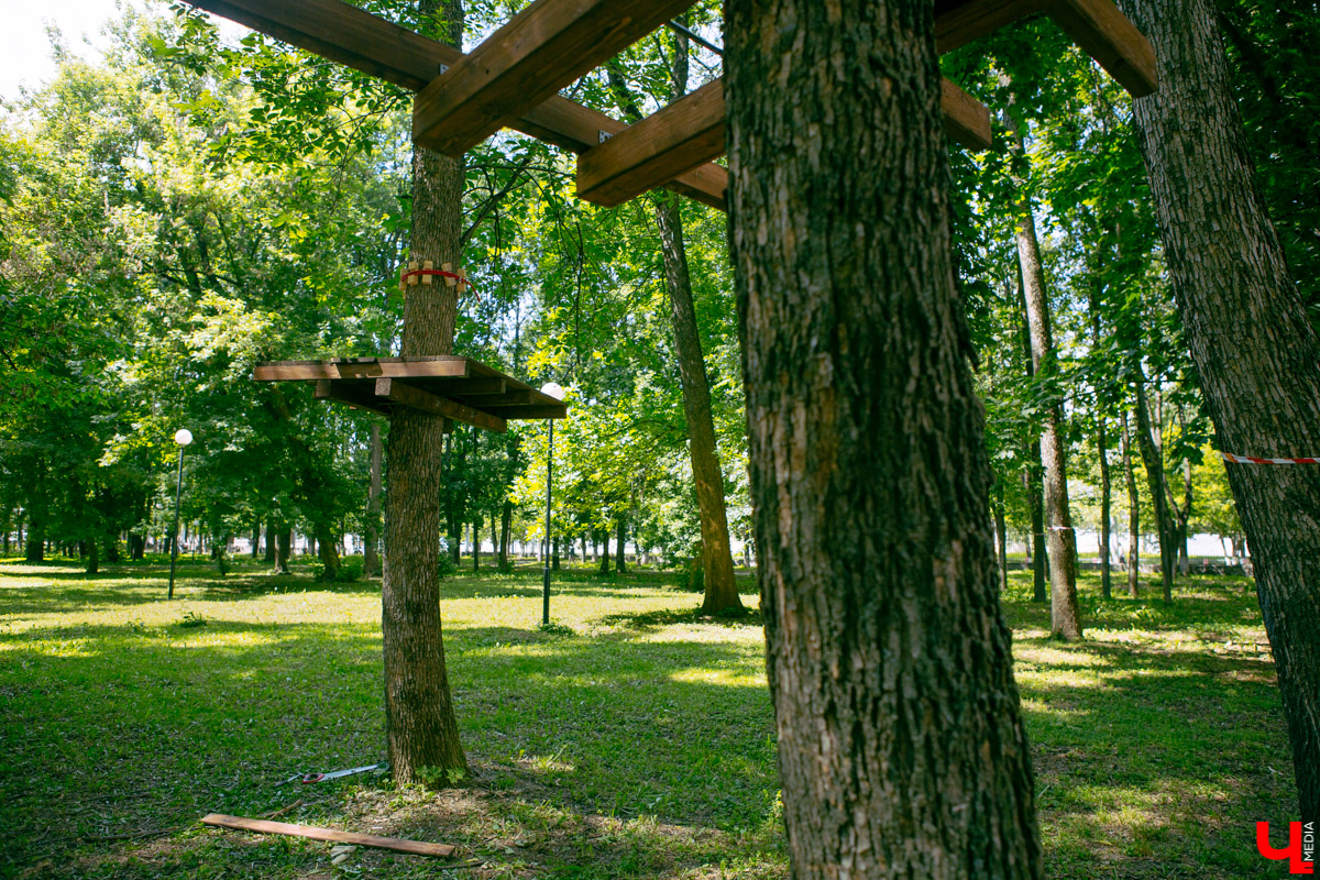 Приятная новость для любителей активного отдыха: в Центральном парке может появиться веревочный городок