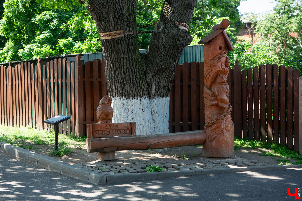 Фоторепортаж о городских лавках. Самые интересные места, где можно присесть и отдохнуть