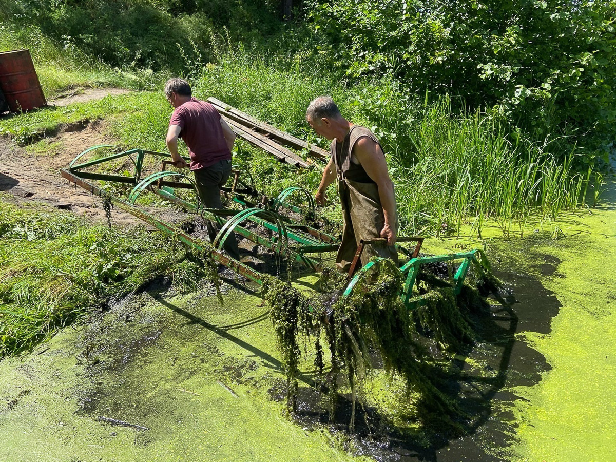Озеро в Загородном парке является одной из самых привлекательных локаций города. А пока там лишь тина и беспорядок. Разбираемся, как решить проблему, вместе с урбанистом Артемом Чернеем