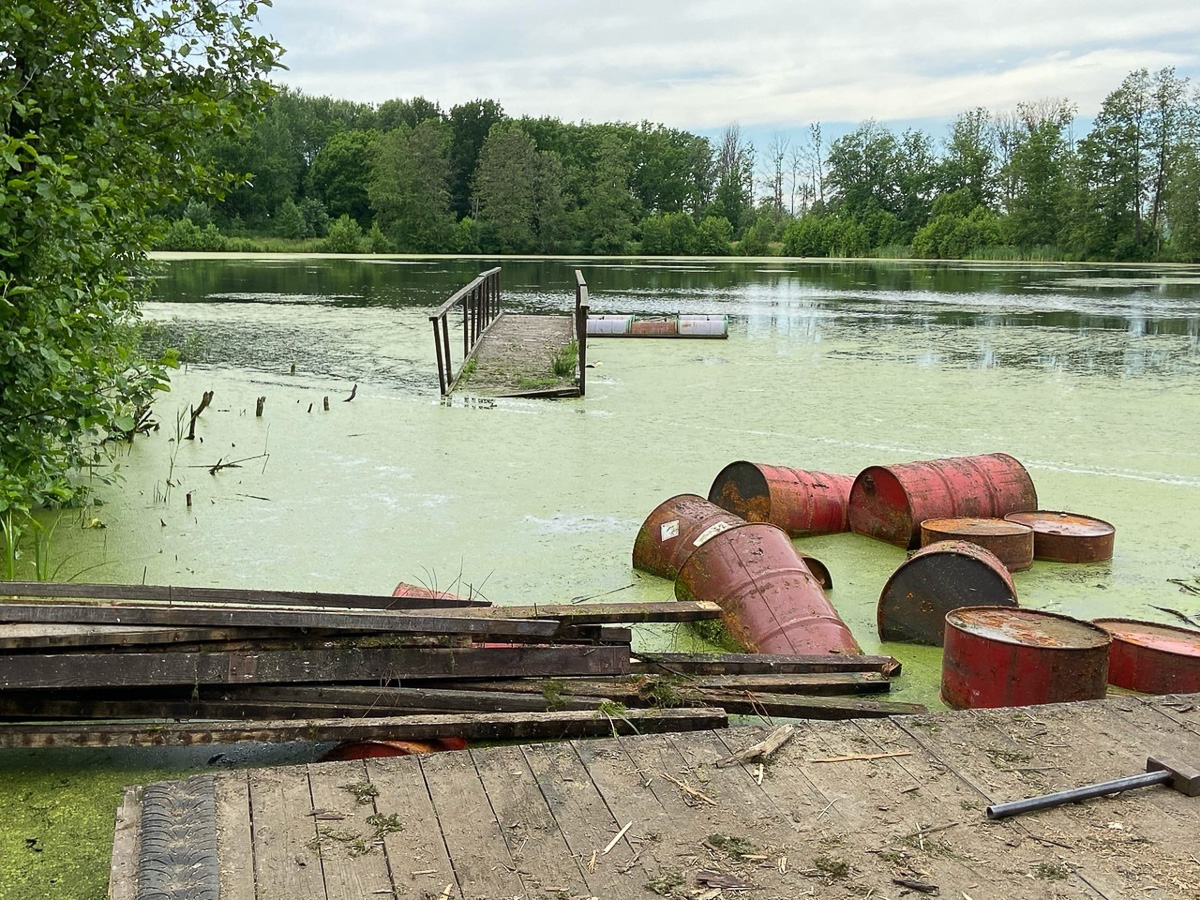 Озеро в Загородном парке является одной из самых привлекательных локаций города. А пока там лишь тина и беспорядок. Разбираемся, как решить проблему, вместе с урбанистом Артемом Чернеем