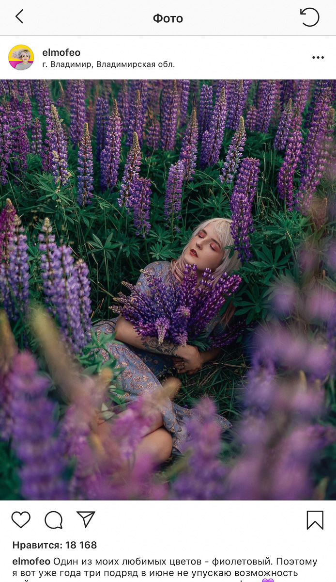 Разве можно проигнорировать такое бурное цветение люпинов в этом году? Конечно — нет. Владимирцы сделали множество красивых кадров, причем с самыми разными полевыми цветами. Смотрим.