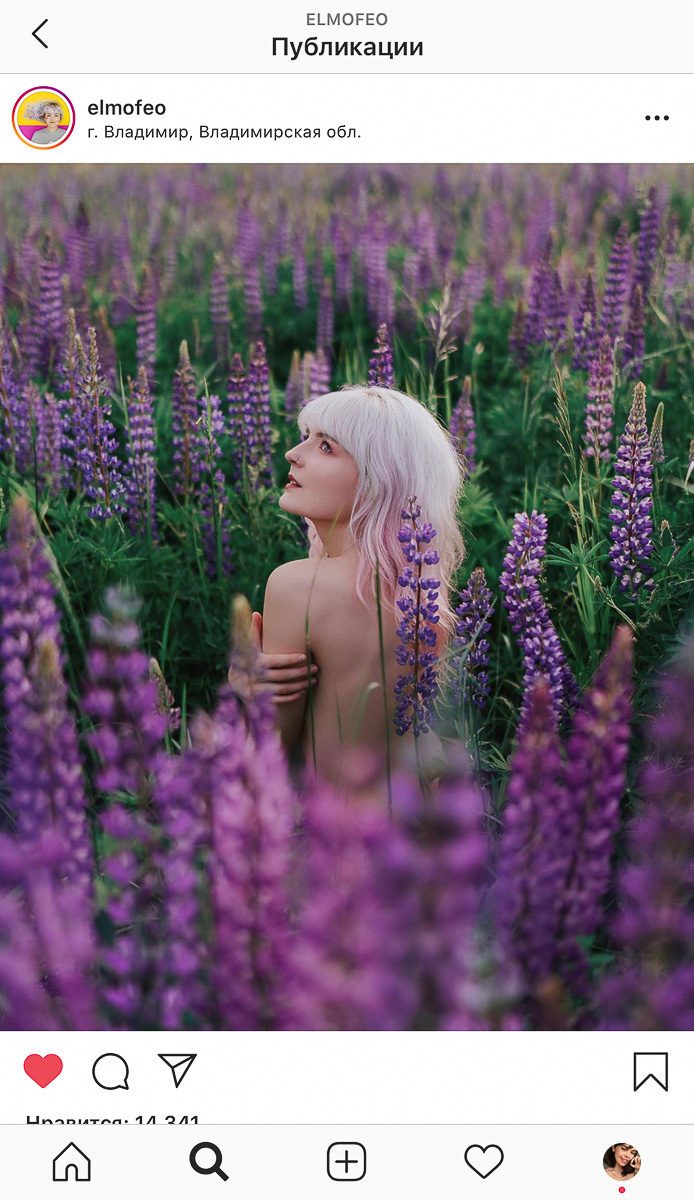 Разве можно проигнорировать такое бурное цветение люпинов в этом году? Конечно — нет. Владимирцы сделали множество красивых кадров, причем с самыми разными полевыми цветами. Смотрим.