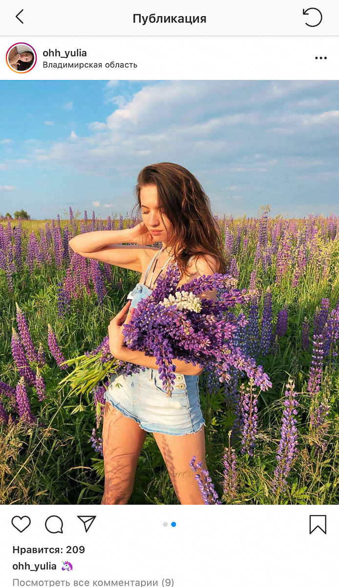 Разве можно проигнорировать такое бурное цветение люпинов в этом году? Конечно — нет. Владимирцы сделали множество красивых кадров, причем с самыми разными полевыми цветами. Смотрим.