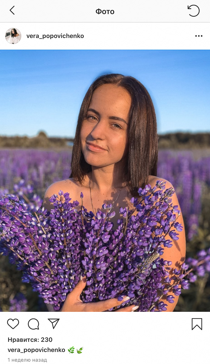 Разве можно проигнорировать такое бурное цветение люпинов в этом году? Конечно — нет. Владимирцы сделали множество красивых кадров, причем с самыми разными полевыми цветами. Смотрим.