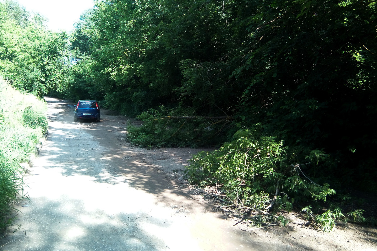 Тест-драйв приложения генератора случайных чисел во Владимире
